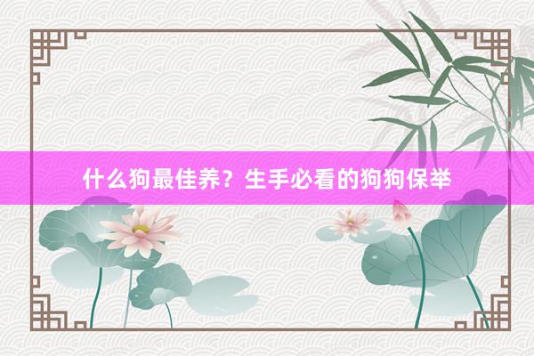什么狗最佳养？生手必看的狗狗保举