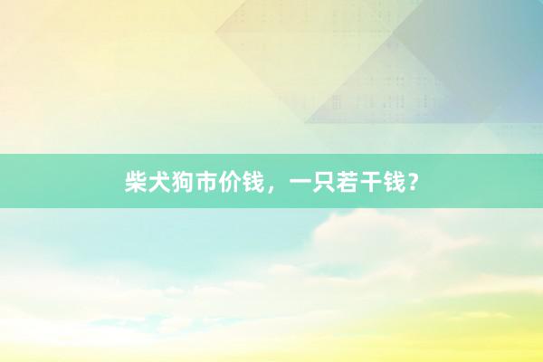 柴犬狗市价钱，一只若干钱？