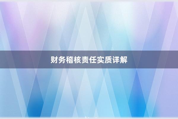 财务稽核责任实质详解